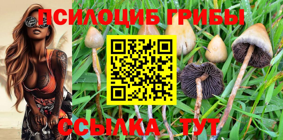 Алатырь  Галлюциногенные грибы Magic Shrooms  Вход с VPN 